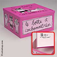 Boite 100Drine New - Grande - Cochonnerie