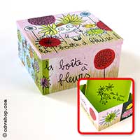 Boite 100Drine New - Grande - A Fleurs
