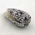 Conus Omaria (3.50 €)