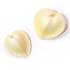 Coquillage Coeur (2.50 €)