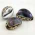 Cypraea Tigris Violet (3 €)
