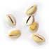 Cypraea Moneta Naturel (0.50 €)
