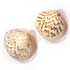 Leoconcha Castrensis (2.50 €)