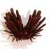 Oursin Crayon (14.50 €)