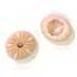 Oursin Rose (1 €)