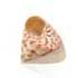 Trocha Conus (1 €)
