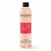 Solution pour Bouquet Parfumé - Pivoine