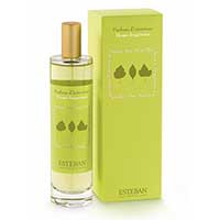 Vaporisateur 100 ml - Sous Les Feuilles