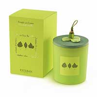 Bougie déco parfumée - Sous Les Feuilles