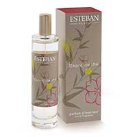 Vaporisateur 100 ml - Esprit de Thé