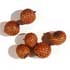 Cane Berry (0.50 €)