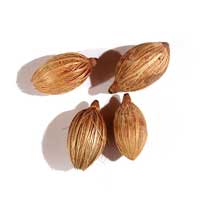 Fiber Ball