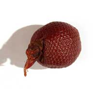 Laranja