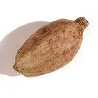 Melon