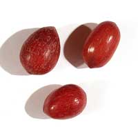 Noix de Pecan