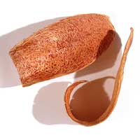 Pétale de Mahogany