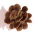 Rose Cone (2 €)