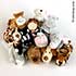 Peluche Aimantée New (5 €)