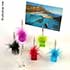 Porte Photos Plume (5 €)