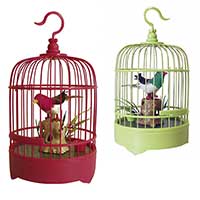 Cage à Oiseau Chantant