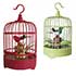 Cage à Oiseau Chantant (16 €)